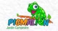 logo mini pigmalion